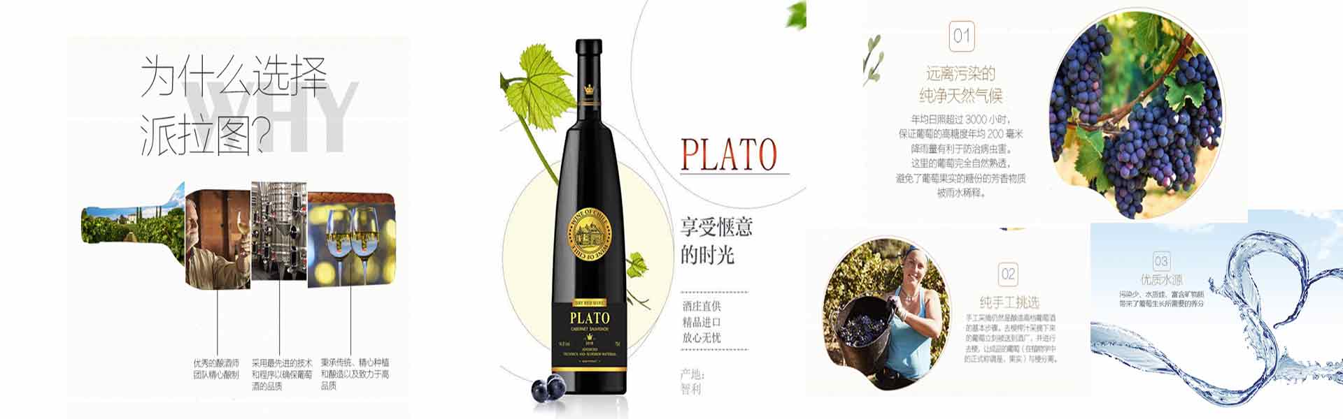 派拉图王者进口干红